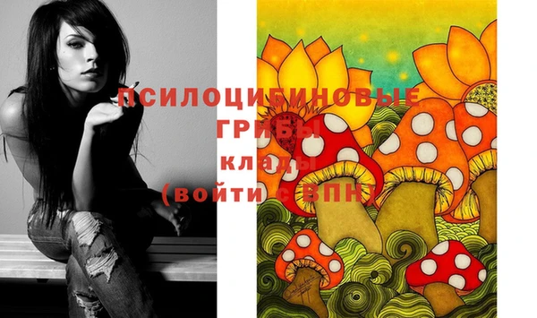 хмурый Абинск
