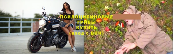 хмурый Абинск