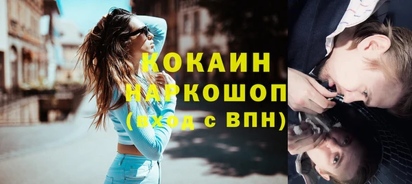 шишки Алексин