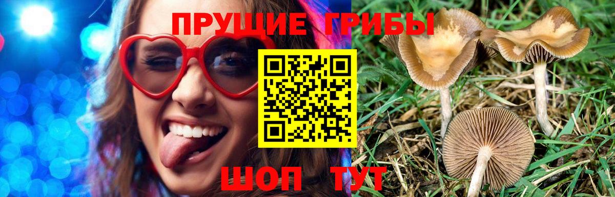Галлюциногенные грибы мицелий Ангарск